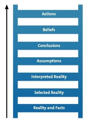 The ladder of inference