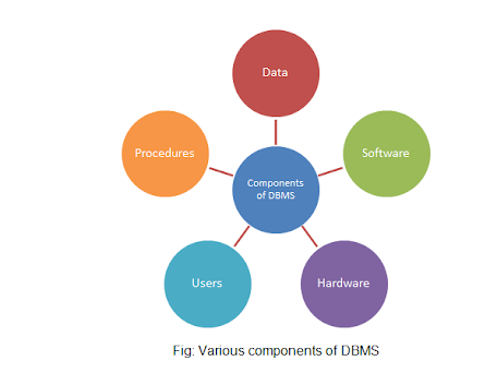 Various components of DMBS