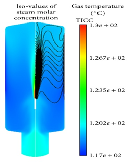 Iso-values in of steam molar concntration