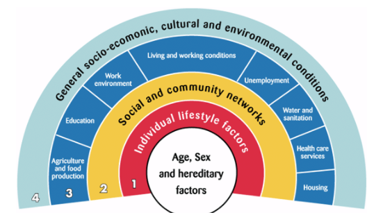 Determinants to Health inequalities