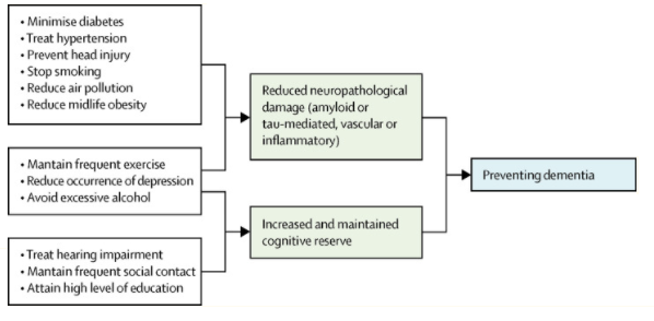Brain's possible mechanisms for enhancing cognitive reserve and reducing potential risk factors in dementia