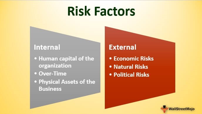 Risk management factors of an organization