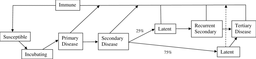 Epidemiology of Syphilis