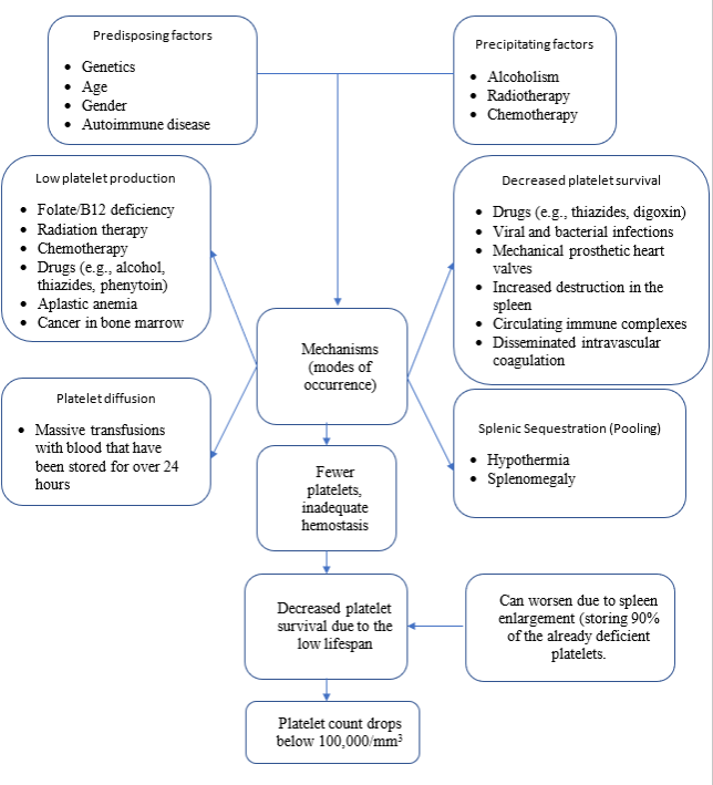 Thrombocytopenia Pathophysiology