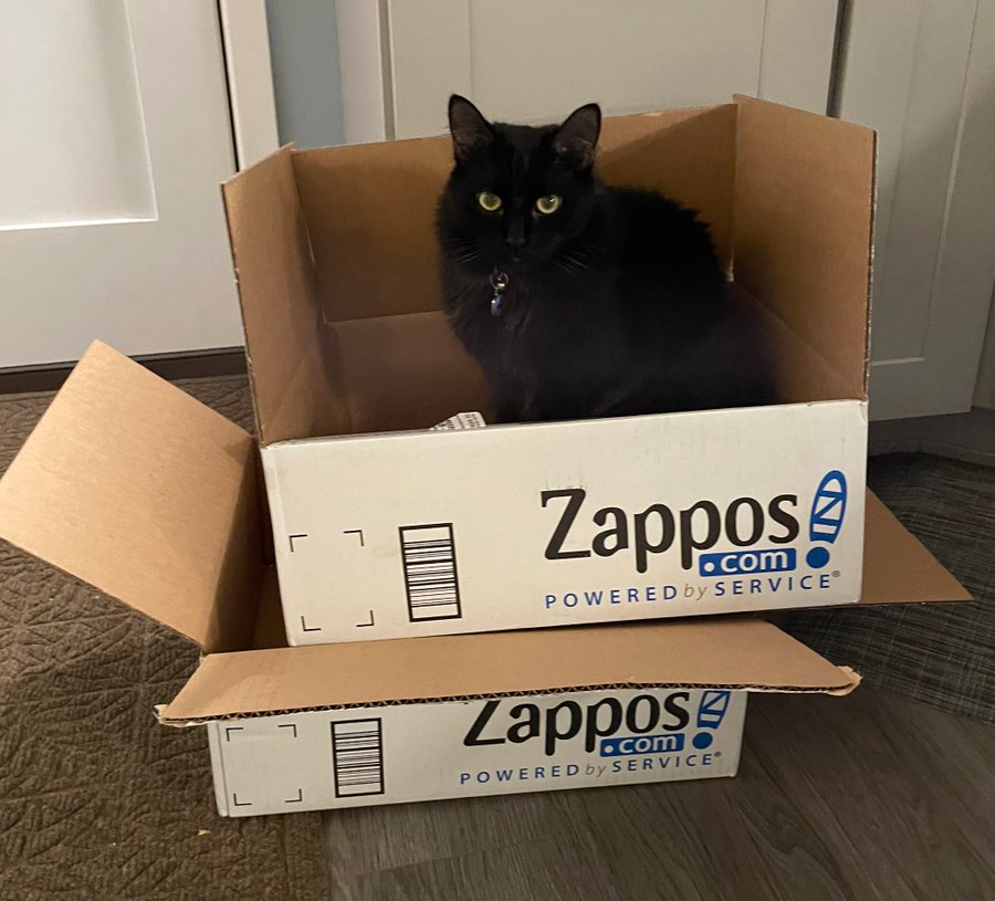 A tweet by a customer about Zappos