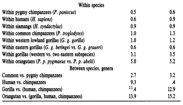 Sequence differences between the primates