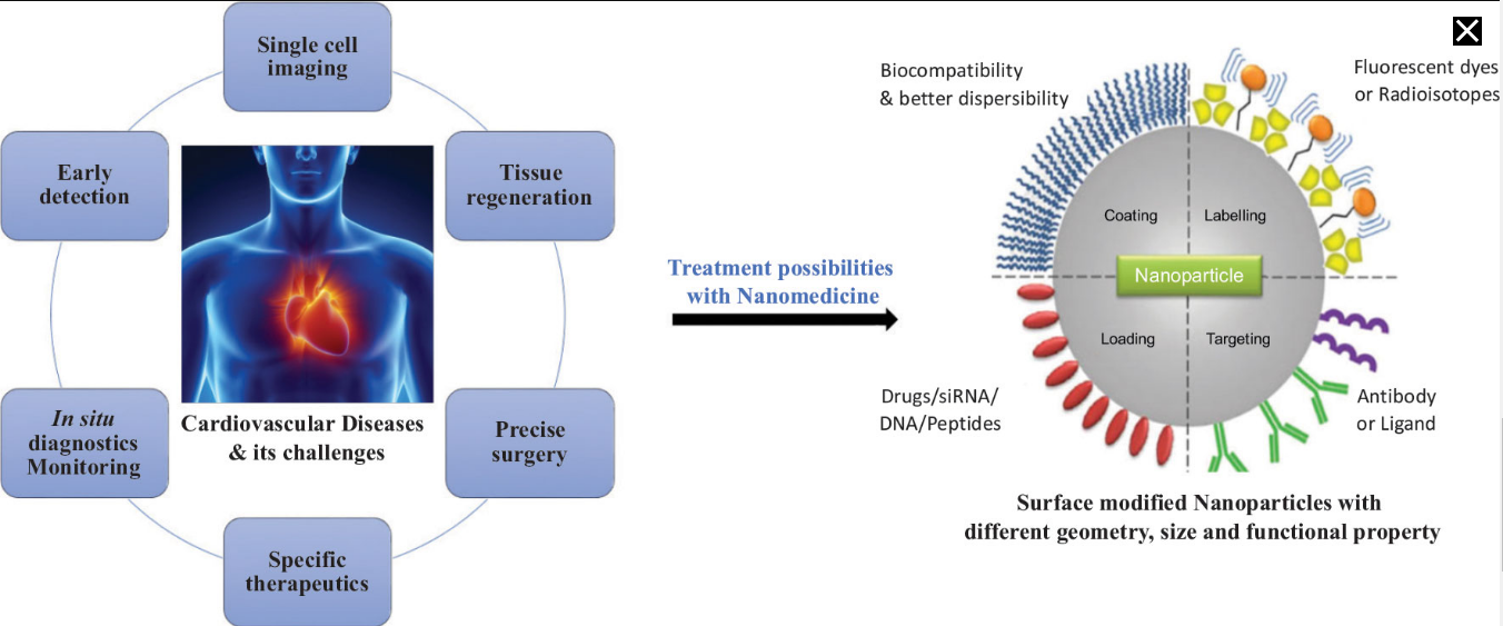Nanopraticles-based treatment for CVDs