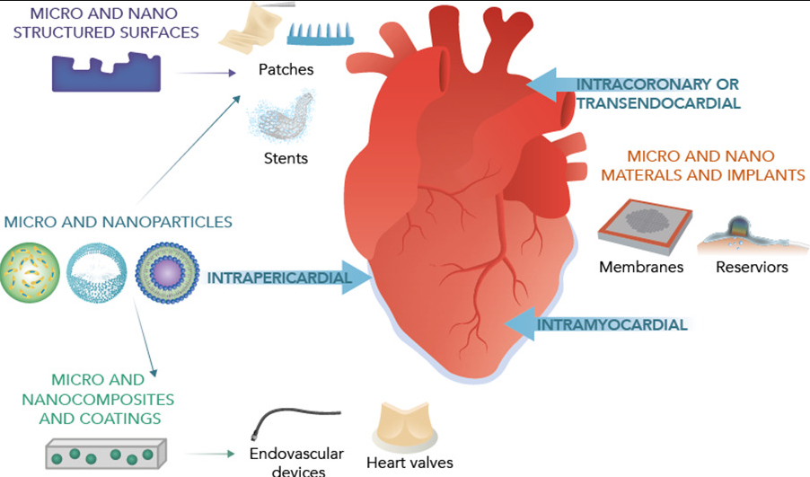 Applying nanotechnology to treat heart issues