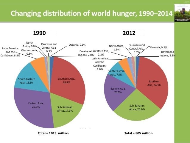 A Comparative Review On The World Hunger And Possible Solutions Free Essay Examples