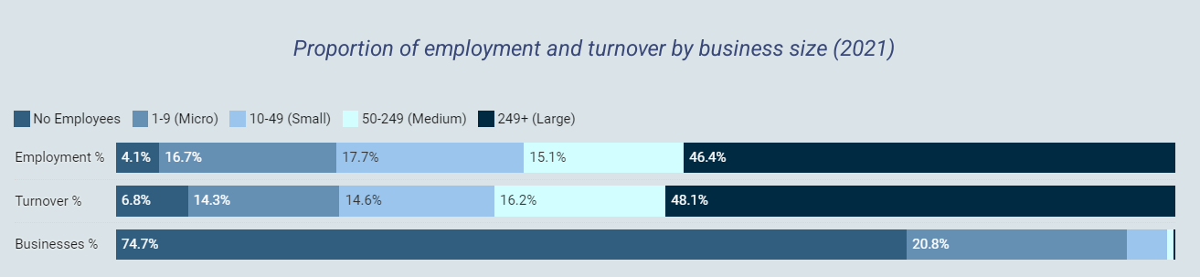 The proportion of turnover and employment by business size