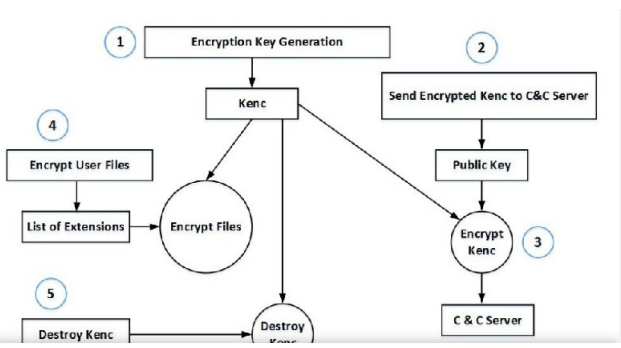 General Lifecycle of a ransomware attack
