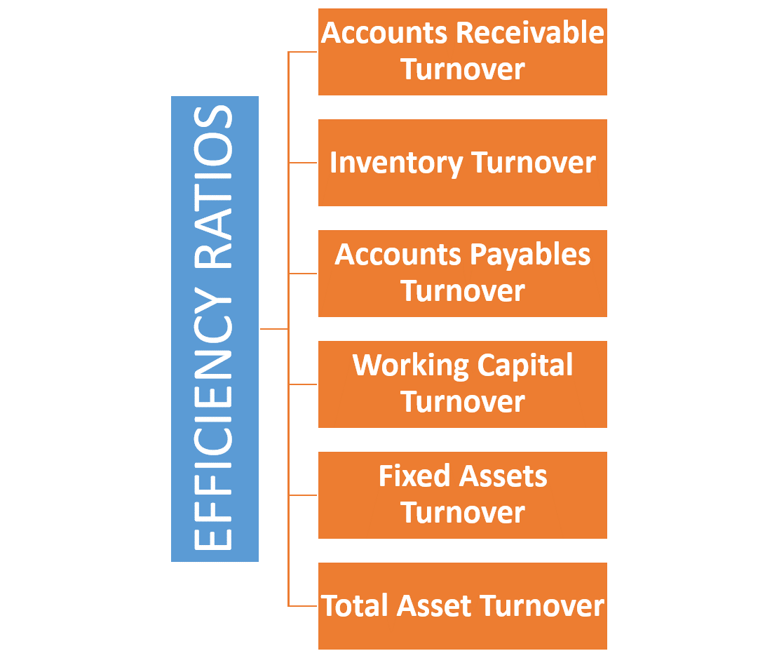 Efficiency Ratios 