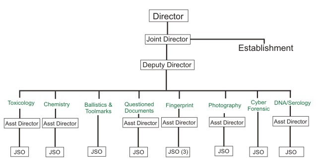 Advanced Forensic Evidence Lab organizational structure