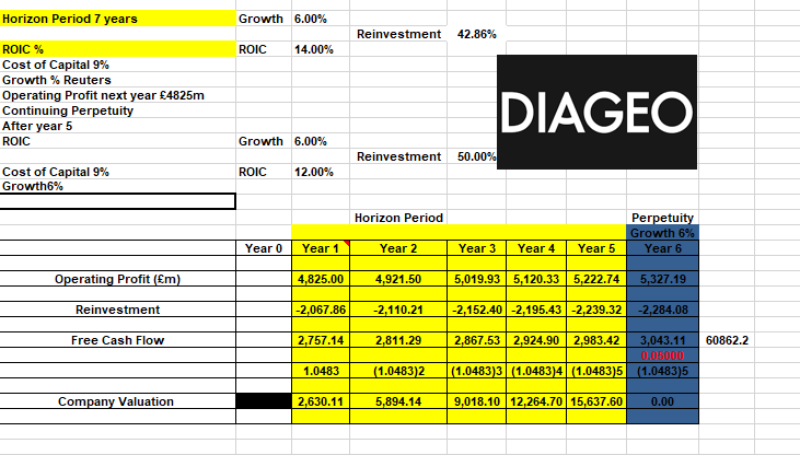 Valuation model – input 3