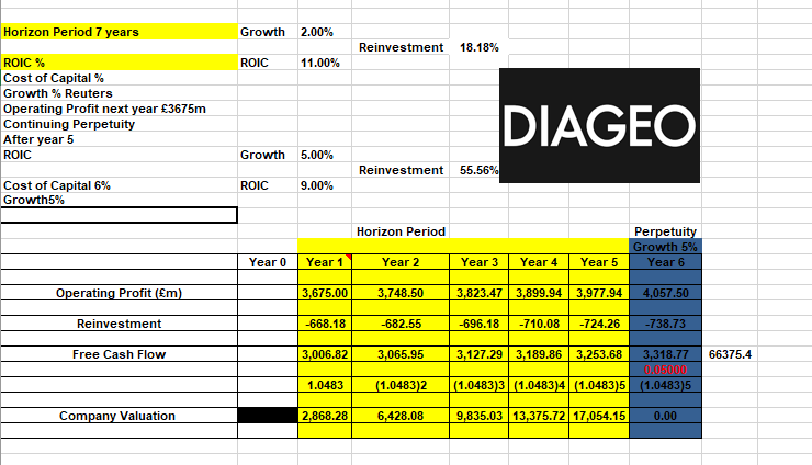 Valuation model – input 4