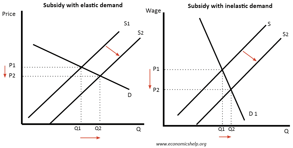 Subsidy with elastic and inelastic demand 