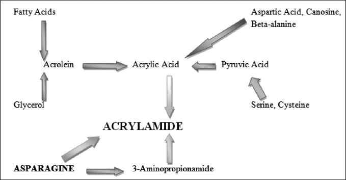 Primary pathway for the formation of acrylamide 