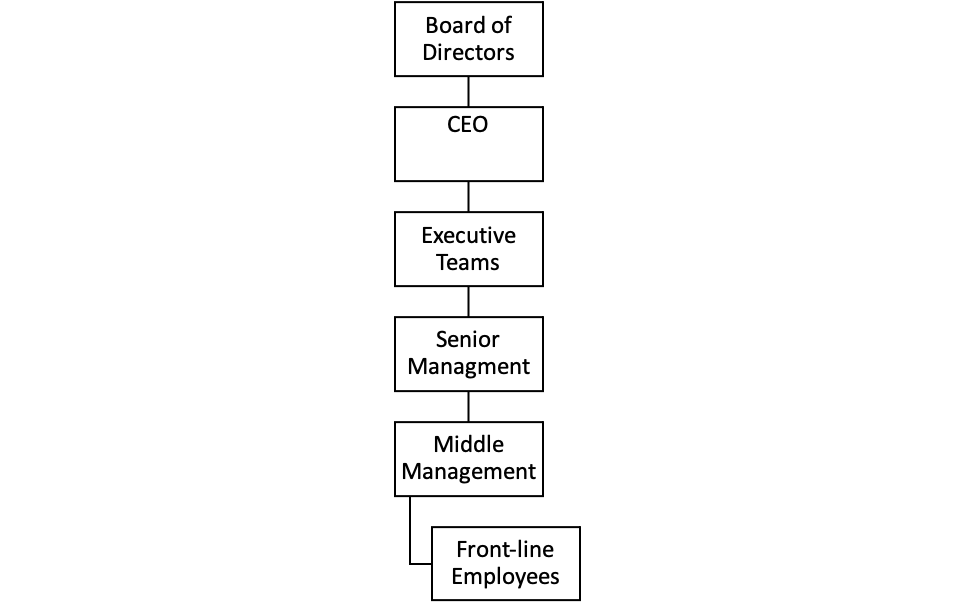 Phizer Company Structure