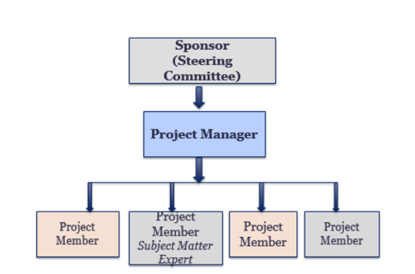 Projection of the project roles chart