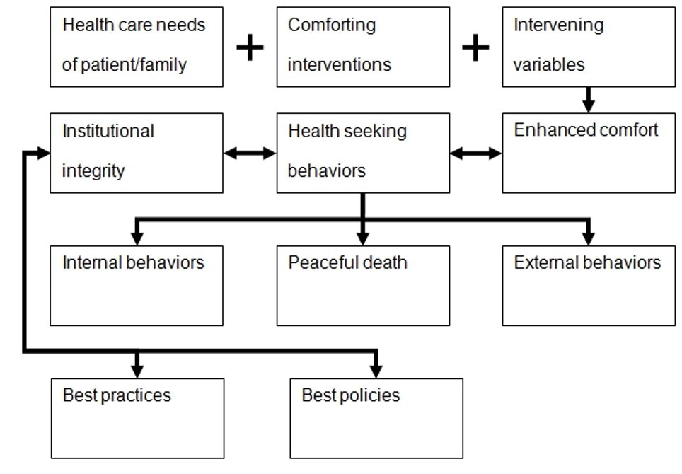 Concepts and Definitions  Katharine Kolcaba: The Comfort Theory