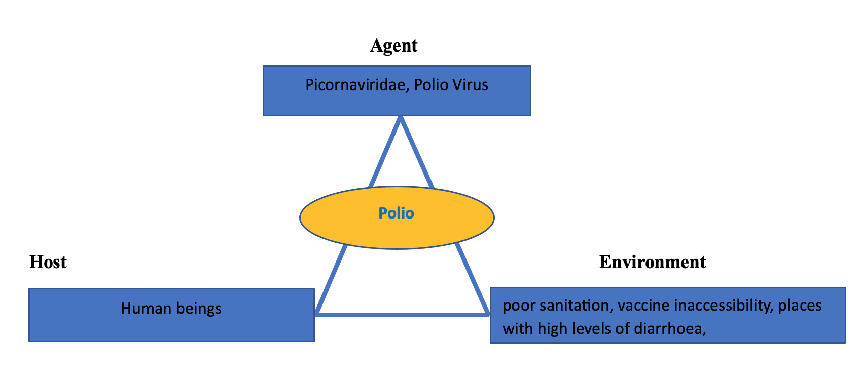 Polio Epidemiological Triangle