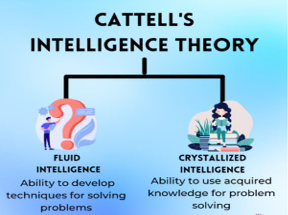 Catell's Intelligence Theory