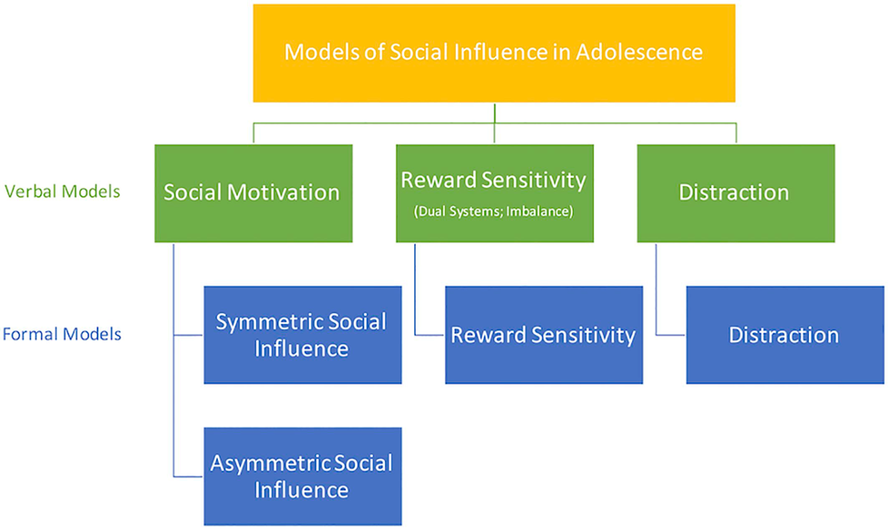 Figure 1: The image shows the models of social influence in adolescence and how that can influence making decisions