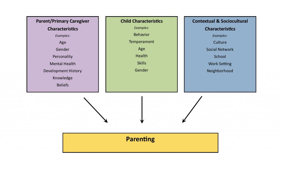 Figure 2: The different considerations in parenting which can help in adolescent parenting