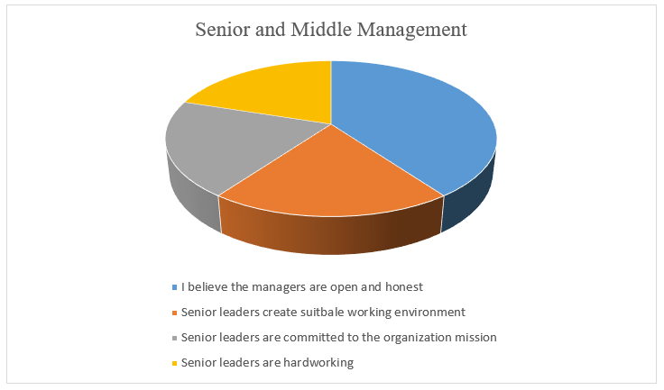 Senior and Middle Management