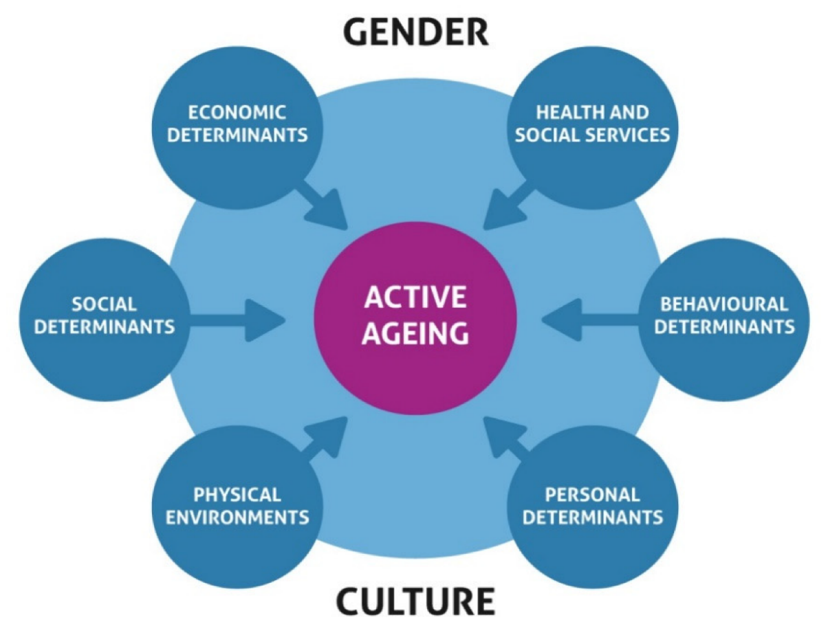 Determinants of Active and Healthy Ageing in Sub-Saharan Africa