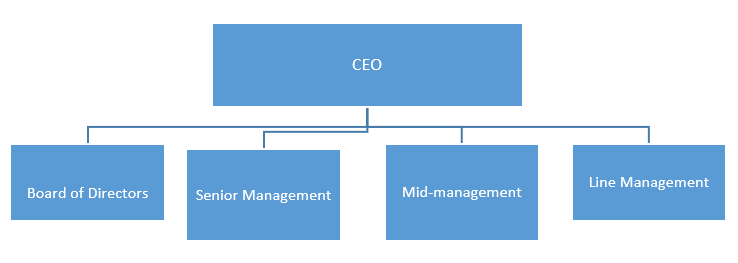 A sample organizational chart for a Pharmaceutical Company with a Functional Departmentalization Structure