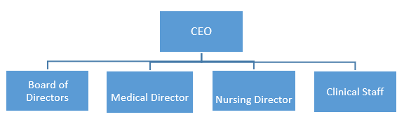 A hospital organizational chart