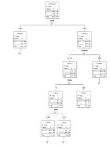 Decision Tree 1