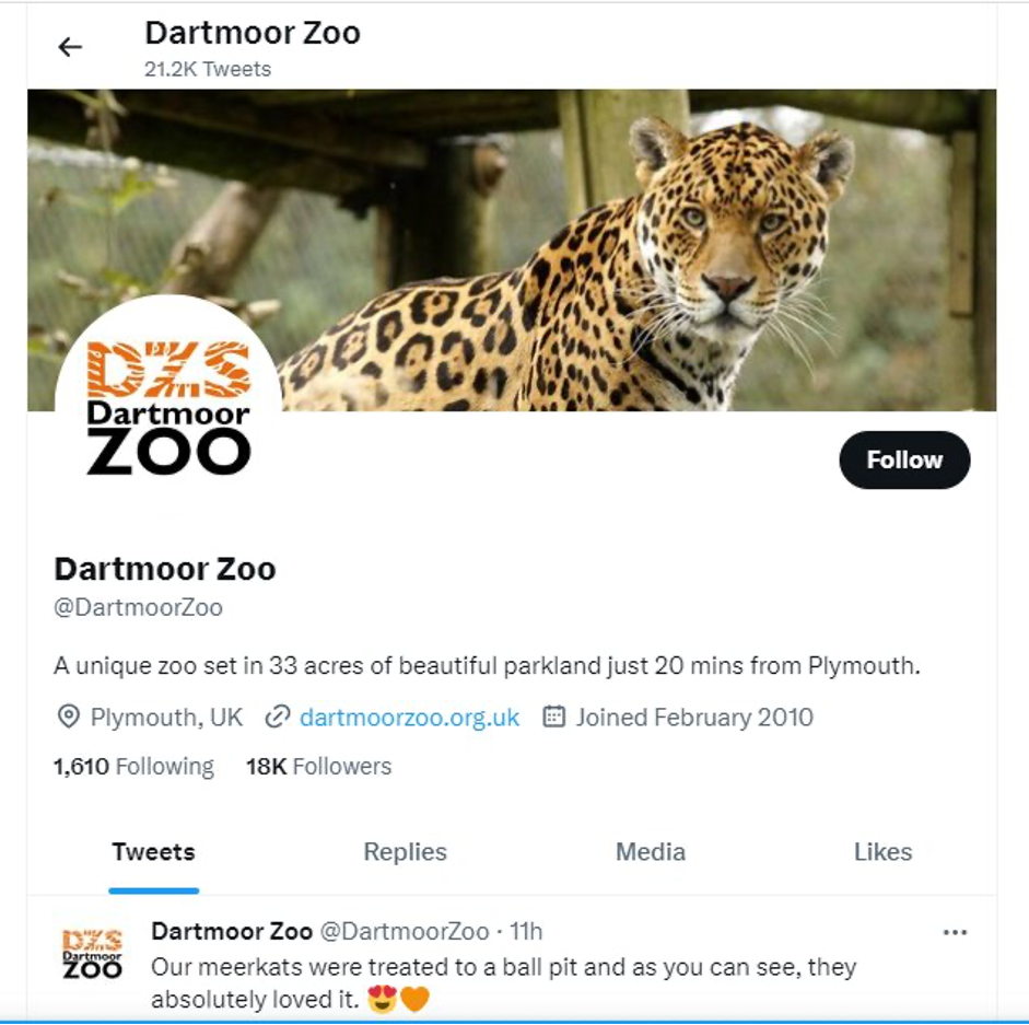 Figure 6: Dartmoor Zoo Twitter Page. Source: Dartmoor Zoo Twitter page 2023