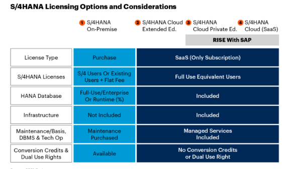 The figure above shows the SAP licensing considerations. Each licensing type is examined to achieve flexibility and inclusivity as an infrastructural aspect