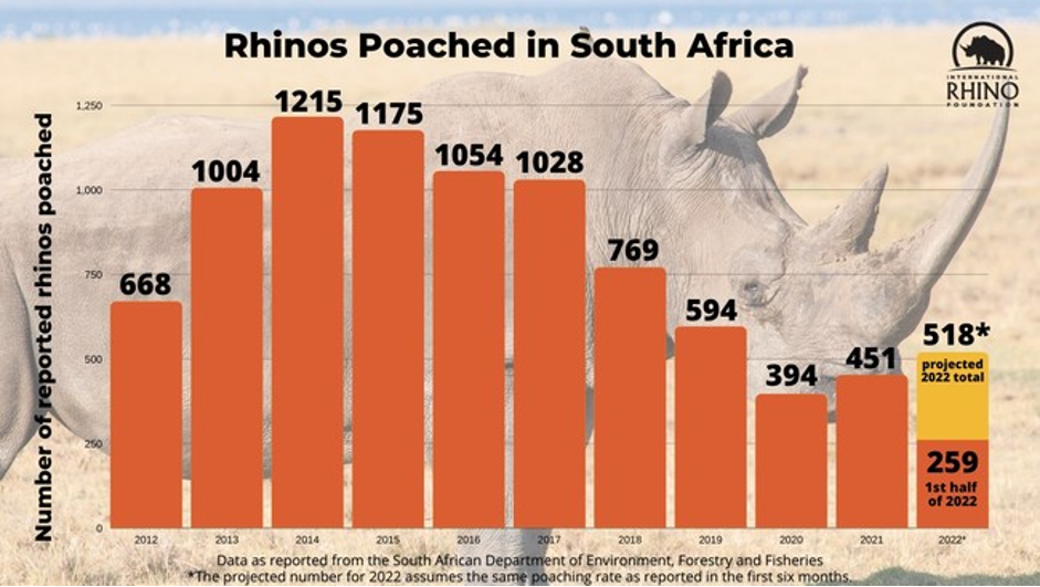 Actors along the value chain of rhino horn and ivory