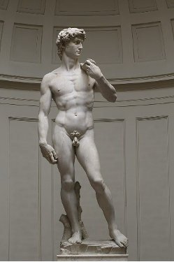 Michelangelo David ca. 