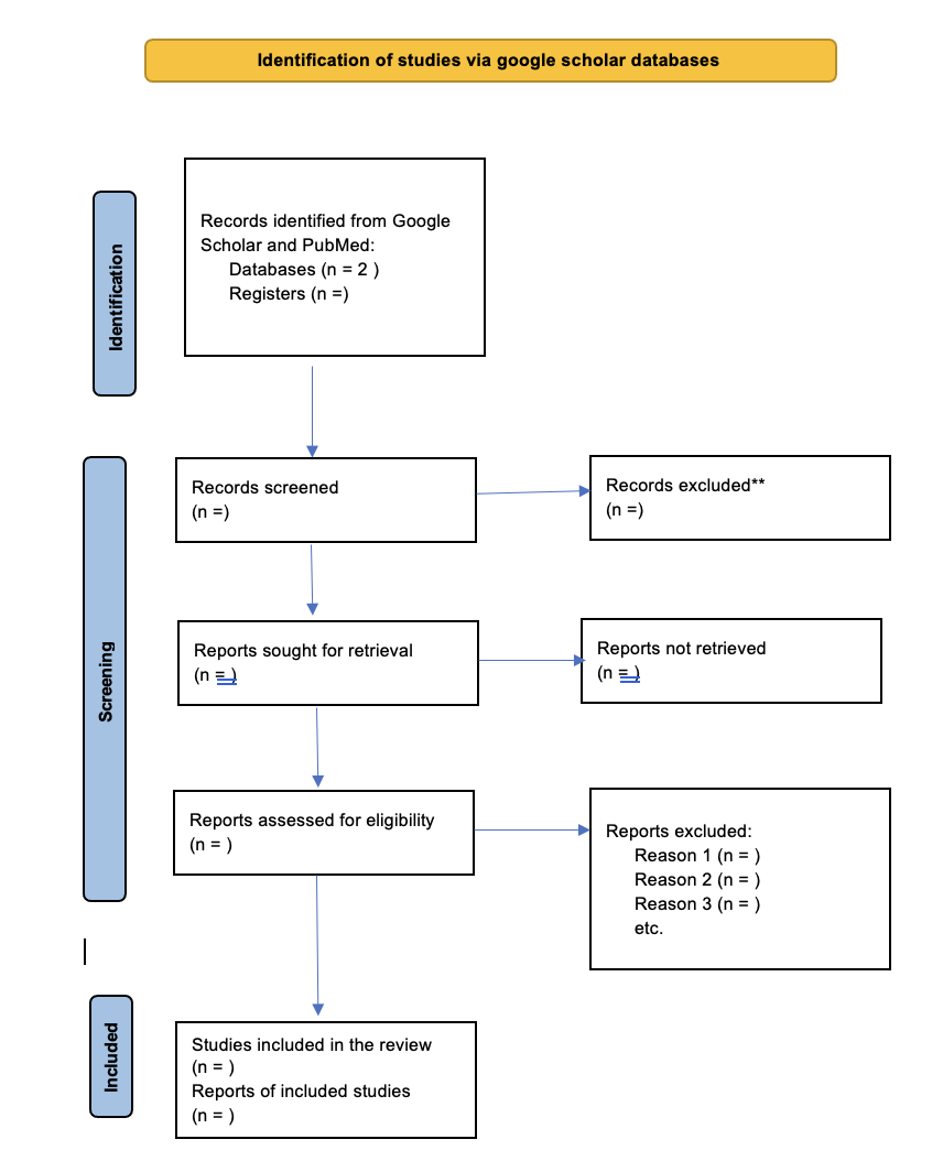 flow diagram of search strategy results in Google Scholar and PubMed electronic database.