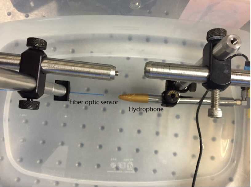 Photo of the Experiment Temperature