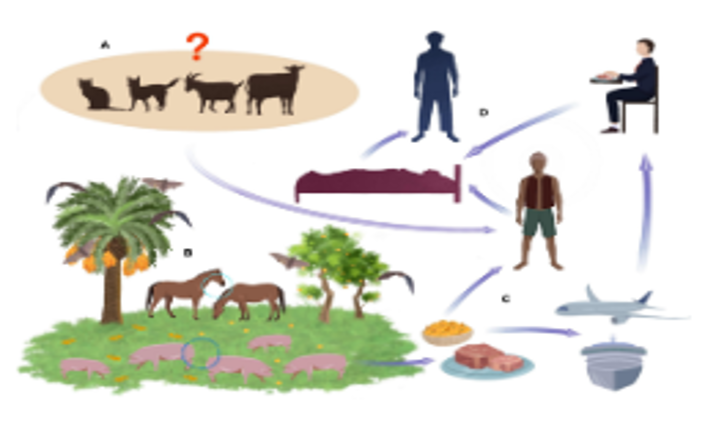 NiV transmission route (Skowron et al., 2022).