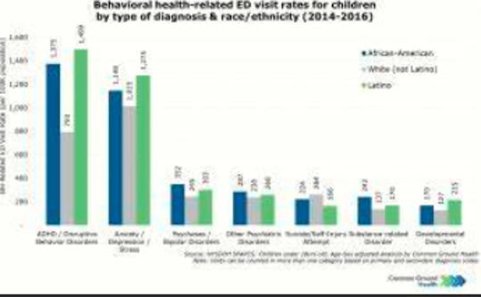 relationship between financial stress and mental health among 800 seniors