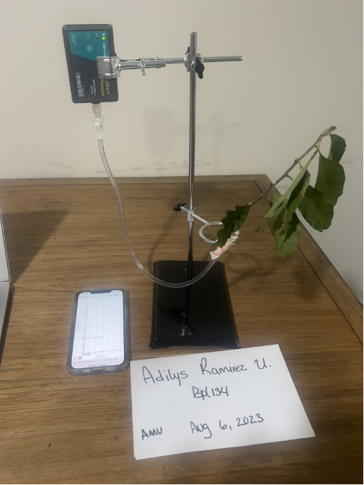 experiment to measure the rate of Transpiration in plant cuttings under different conditions