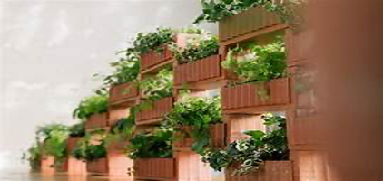 Housetop gardens and green dividers