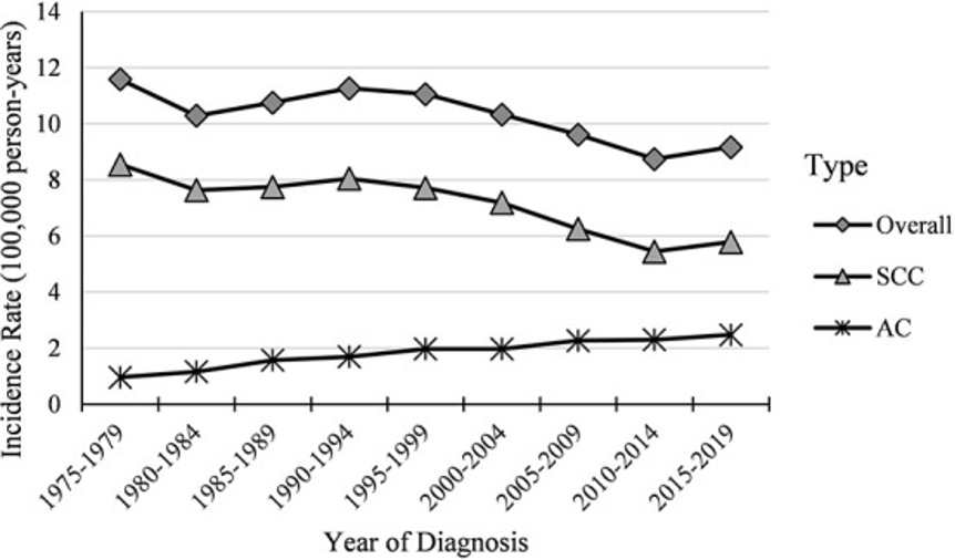 Temporal trends in cervical cancer incidence among women aged 20-44 years (1975-2019) (Krokidi et al., 2023).