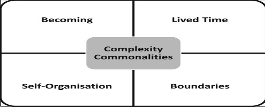The four complexity commonalities.