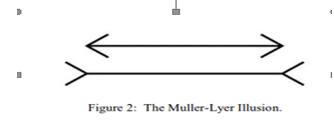 . The Muller-Lyer Illusion (Eneh and Inekwe, 2023).