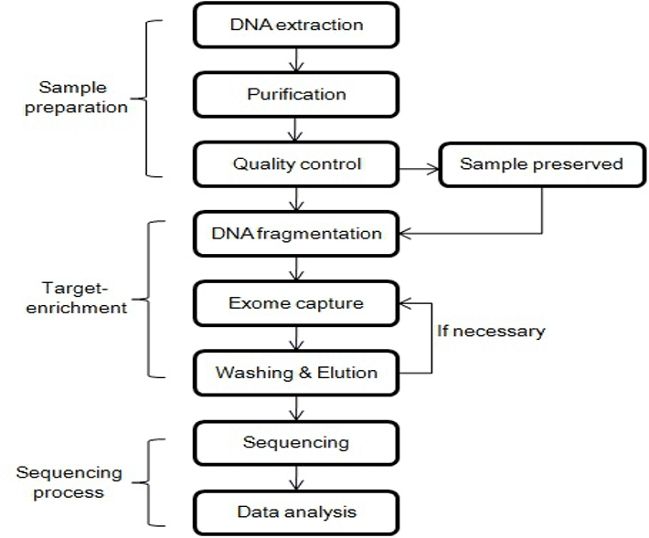whole exome sequencing, which is a method used to identify genetic variations in a person’s genes