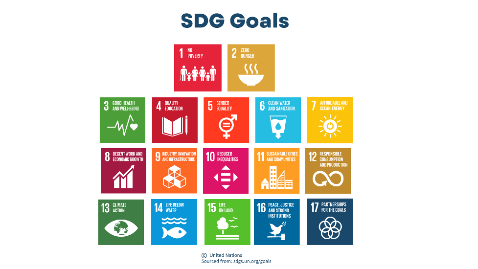 SDG goals
