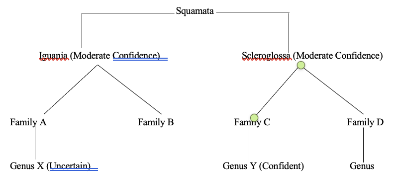 early phylogeny