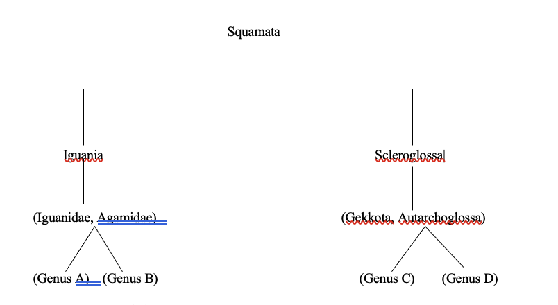 most recent phylogeny